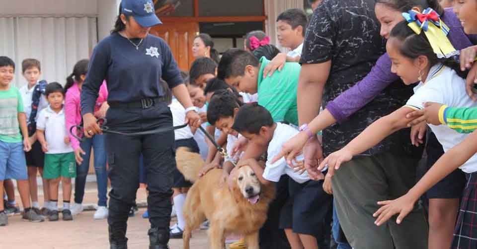 La Secretaría de Seguridad Pública trabaja en temas de prevención del delito.