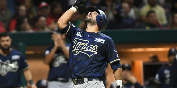 Contará Tigres de Quintana Roo con los Novatos del año de la LMB y LMP