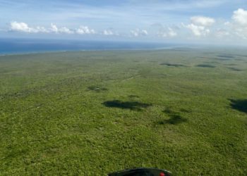 Quintana Roo protege 3 millones 700 mil hectáreas de selva tropical