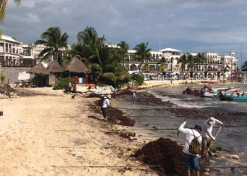 Urgen empresarios definir a la empresa que evitará el recale de sargazo