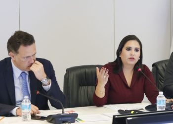 Mexicanos con derecho a recibir servicios médicos gratuitos: Mayuli Martínez Simón