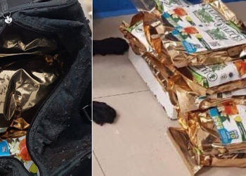 Perro policía detecta a mujer con marihuana en terminal del ADO