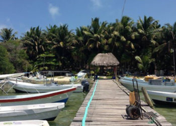 La plataforma Guest Assist y un call  center dan orientación a los turistas que visitan Quintana Roo