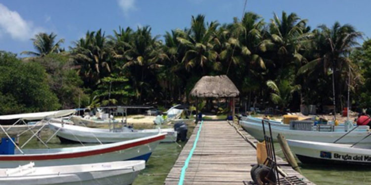 La plataforma Guest Assist y un call  center dan orientación a los turistas que visitan Quintana Roo