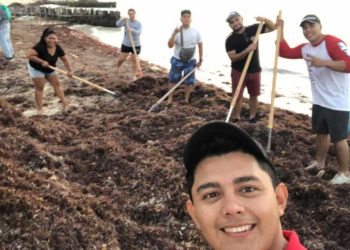 Regresa el problema del Sargazo a Isla Mujeres