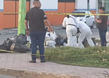 Arrojan restos humanos en bolsas negras en la Lombardo Toledano
