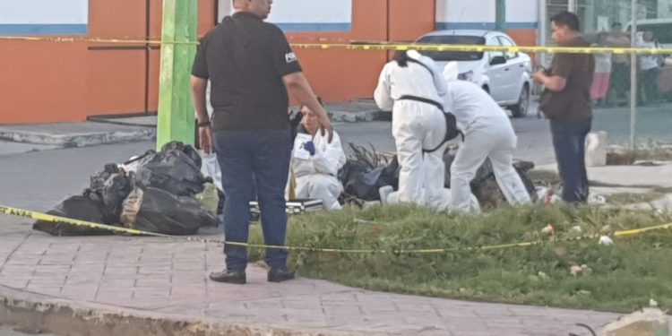 Arrojan restos humanos en bolsas negras en la Lombardo Toledano