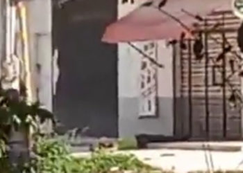 Ejecutado mientras esperaba en un Six