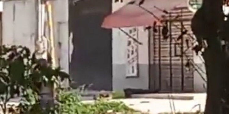 Ejecutado mientras esperaba en un Six