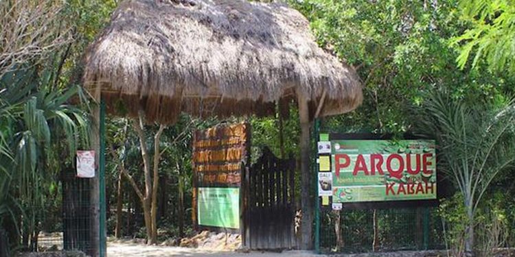 Suspenden actividades que implican aglomeraciones en Parque Kabah