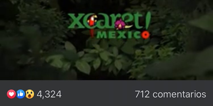 Grupo Xcaret te invita a descubrir el enigmático mundo de la Guacamaya Roja