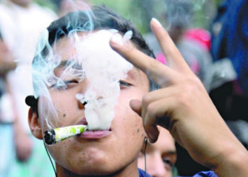 Senado aprueba en lo general el uso lúdico de la marihuana