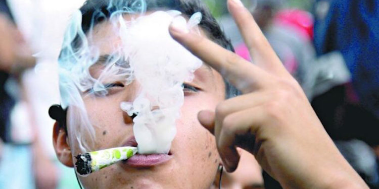 Senado aprueba en lo general el uso lúdico de la marihuana