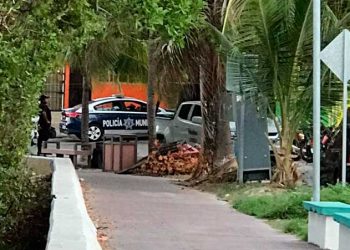 Decomisan en Isla Mujeres cervezas y licor en clandestinos