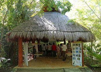 Suspenden Talleres en parque Kabah y Ombligo Verde por Coronavirus