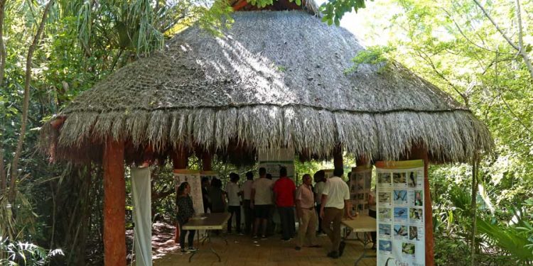 Suspenden Talleres en parque Kabah y Ombligo Verde por Coronavirus