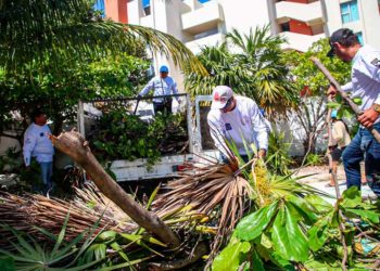Continúan los trabajos de poda y limpieza en Isla Mujeres