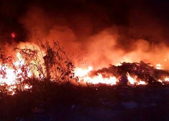 Combaten bomberos y Protección Civil incendios forestales