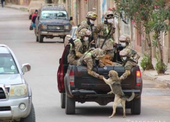Soldados rescatan perritos sin hogar durante cuarentena; son virales