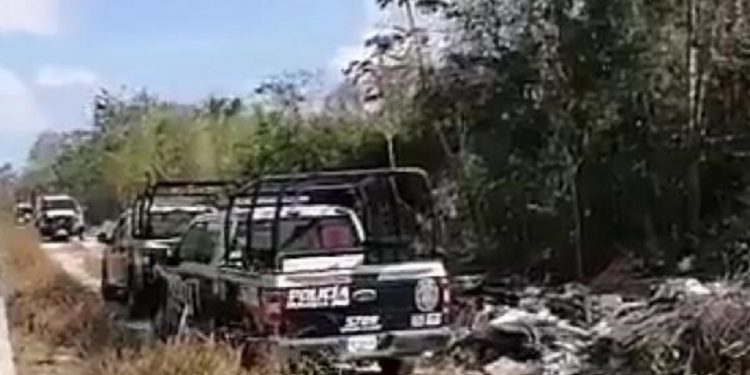 Hallan cabeza humana en la Región 213