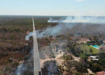 Se combate tres incendios forestales en Leona Vicario