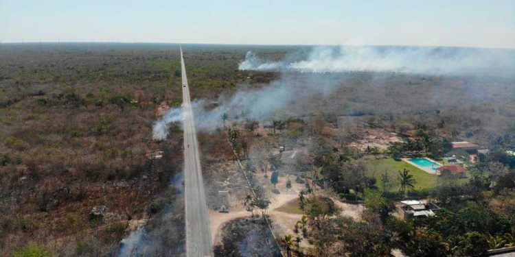 Se combate tres incendios forestales en Leona Vicario