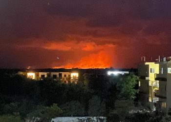 Desarrollan estrategias para combatir los incendios forestales en Quintana Roo