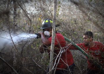 Se mantienen activos dos incendios forestales en Leona Vicario