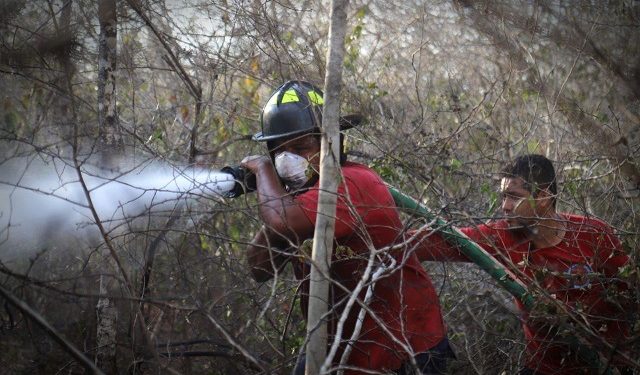 Se mantienen activos dos incendios forestales en Leona Vicario