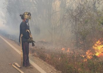 Continúa control de incendios forestales y urbanos en Benito Juárez