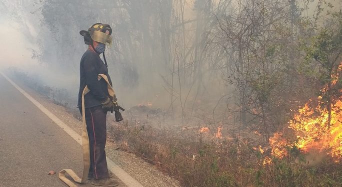 Continúa control de incendios forestales y urbanos en Benito Juárez