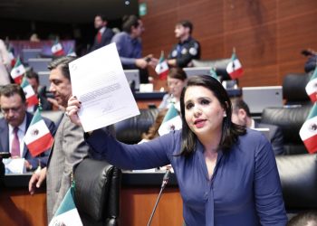 Solicita senadora federal por Quintana Roo a la CFE, suspensión y condonación de pagos por emergen sanitaria