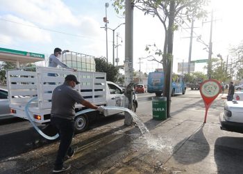 Mantienen limpios paraderos de transporte público