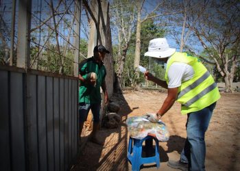 Concluye entrega de apoyos alimentarios en la comunidad de Leona Vicario