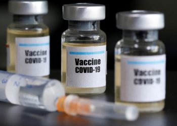 Vacuna contra el COVID-19 es probada exitosamente en monos en Reino Unido