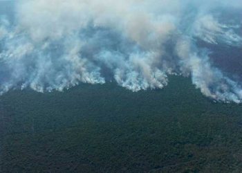 La Semar brinda apoyo en el control de incendios en las zonas arqueológicas en Quintana Roo