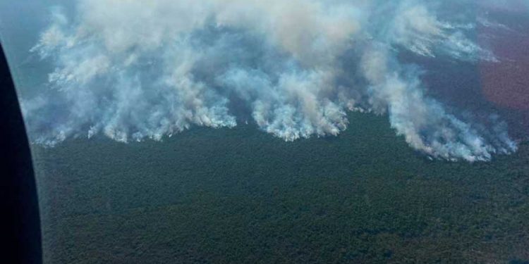 La Semar brinda apoyo en el control de incendios en las zonas arqueológicas en Quintana Roo