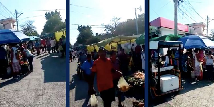 Desastroso el tianguis de la ruta 7 en Cancún: Capella