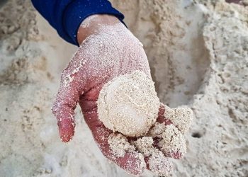 El ISSSTE-Quintana Roo informa el procedimiento a seguir tras el sorteo de los préstamos personales