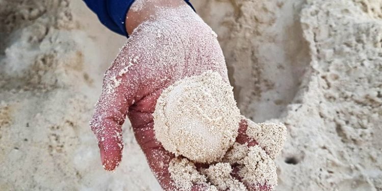 El ISSSTE-Quintana Roo informa el procedimiento a seguir tras el sorteo de los préstamos personales