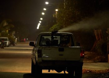 Fumigan por la proliferación de mosquitos