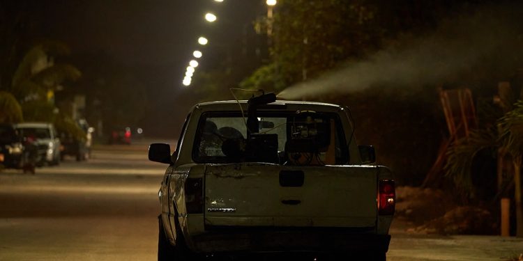 Fumigan por la proliferación de mosquitos