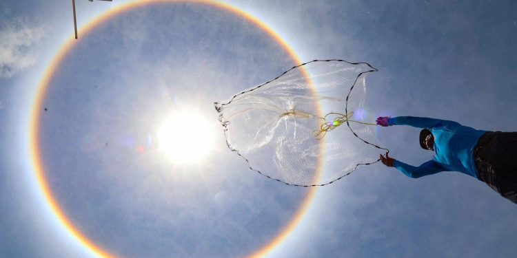 Apoya Conapesca la pesca para autoconsumo