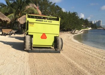 Preparan estrategias para combatir el sargazo