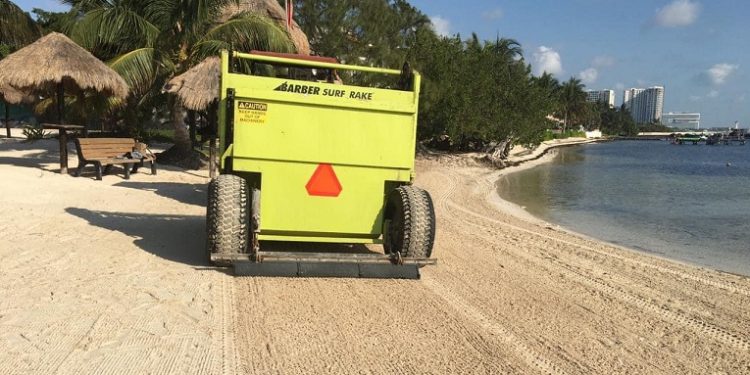 Preparan estrategias para combatir el sargazo