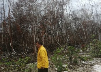 Lluvias ayudaron a sofocar incendios