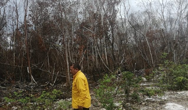 Lluvias ayudaron a sofocar incendios