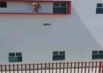 Paciente con Covid-19 se lanza desde tercer piso de hospital