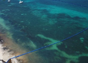 Instalan dos mil 400 metros de barreras antisargazos en Puerto Morelos y Xcalak