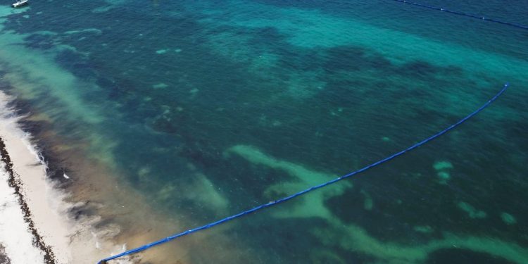 Instalan dos mil 400 metros de barreras antisargazos en Puerto Morelos y Xcalak